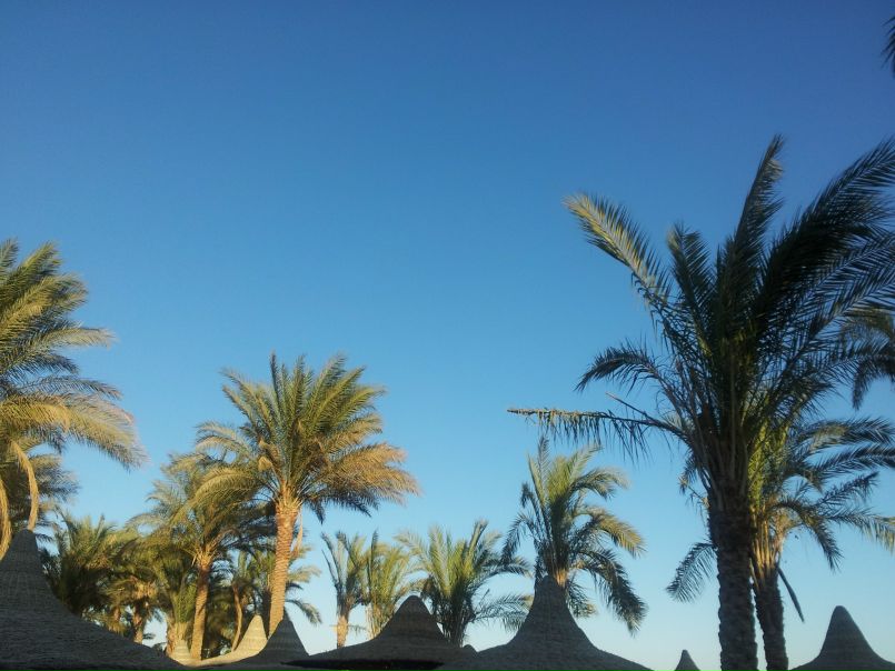 №94, Даниил Чернышов, Санкт-Петербург №94, Даниил Чернышов, Санкт-Петербург