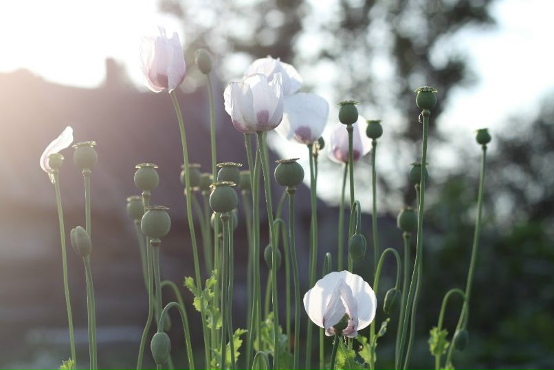 Мария Удалова | Нижний Новгород