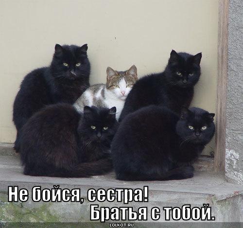 Наталия Свежакова | Санкт-Петербург