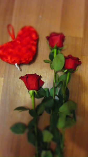 №99, Юличка Саварина, Харьков №99, Юличка Саварина, Харьков