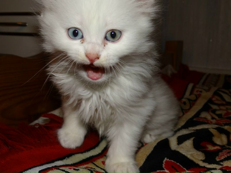 Роза Коваленкова | Наро-Фоминск