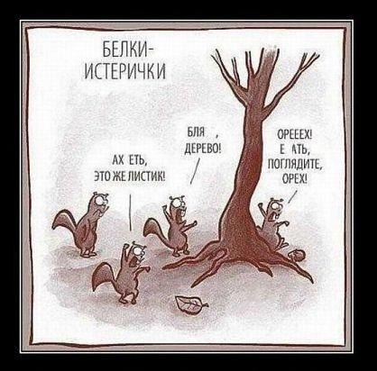 Кирилл Ицкий | Электросталь