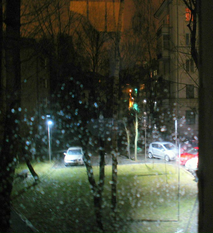 Светлана Казанская | Минск