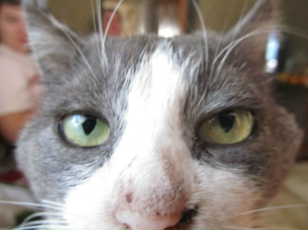 Даша Аленская | Санкт-Петербург