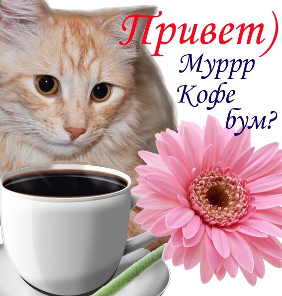 Любовь Макаренко | Санкт-Петербург