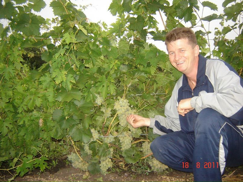 Алексей Моногаров | Белгород