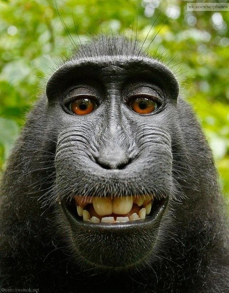 №83, Наталия Скло, Санкт-Петербург №83, Наталия Скло, Санкт-Петербург