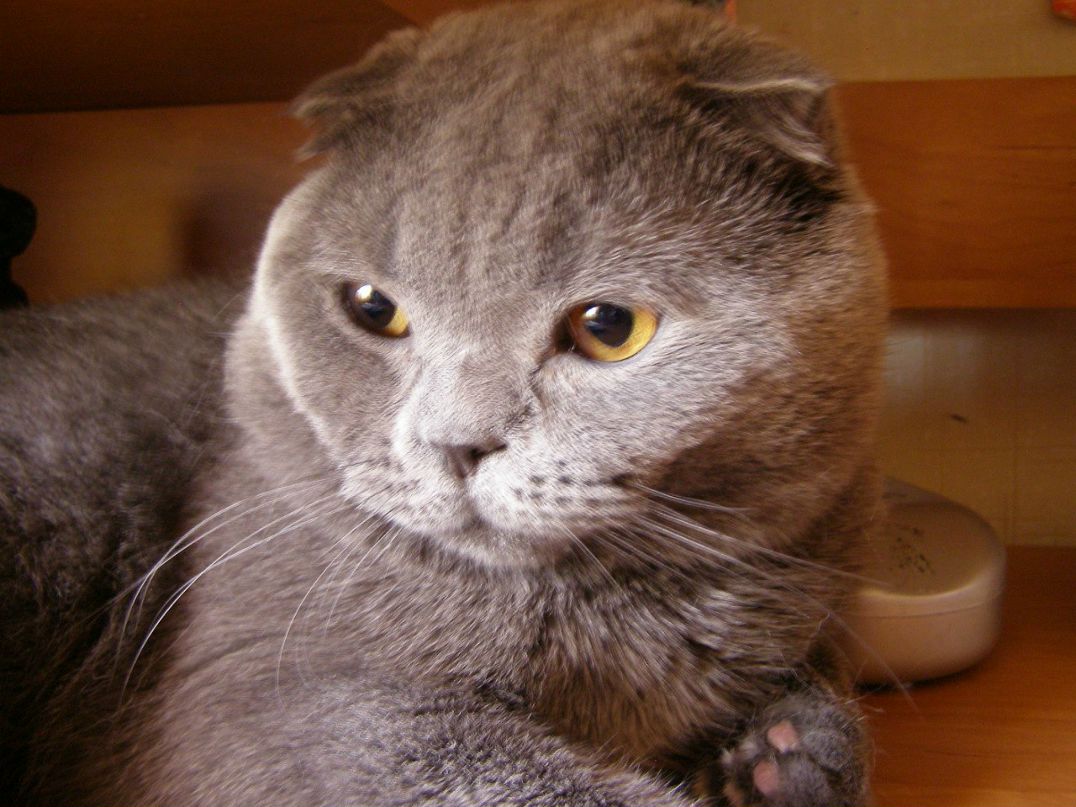 Елена Корюкина | Рязань