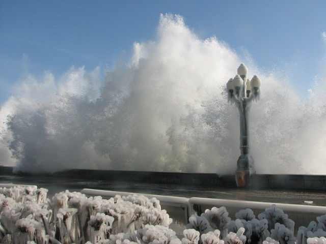 Елисей Бороздин | Ялта