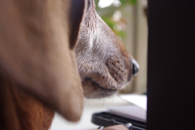 Katerina Savvatina | 