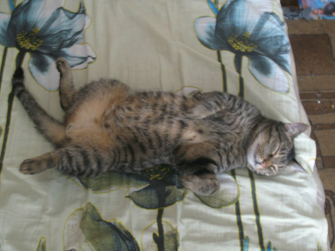 Наталья Смирнова | Санкт-Петербург