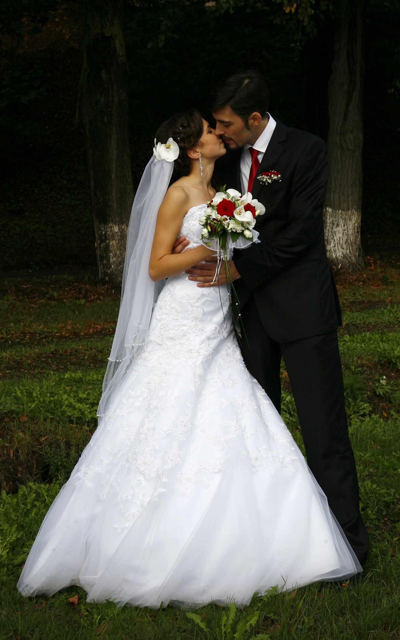 Елена Сергеева | Снегири