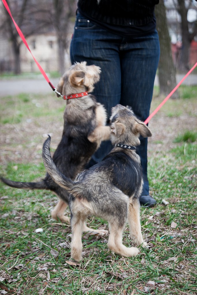 Татьяна Кривенко | Киев