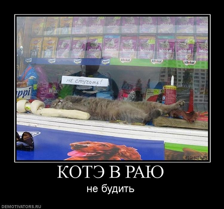 Ирэн Ирэн | Москва