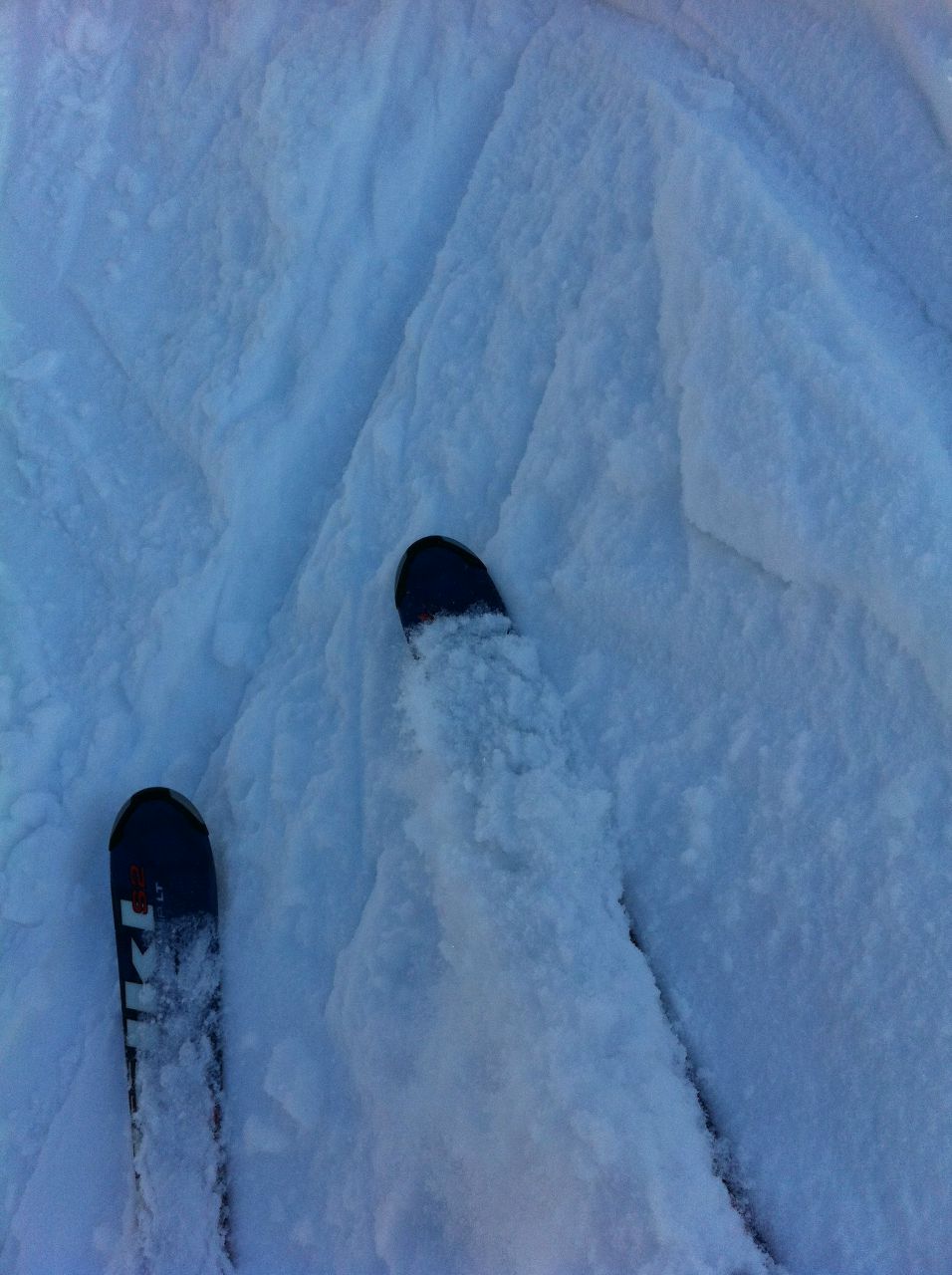 Игорь Садовников | Москва