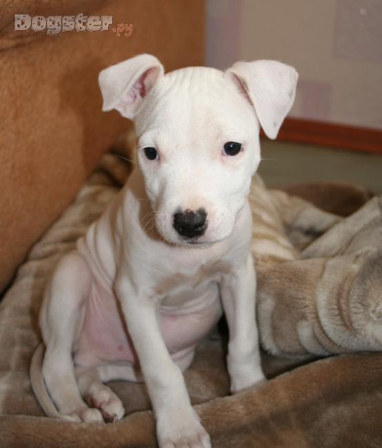 Татьяна Николаева | Санкт-Петербург