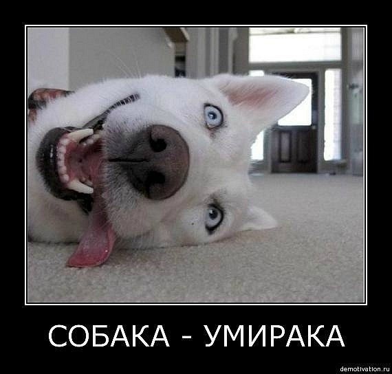 Евген Самороднов ENOT | Самара