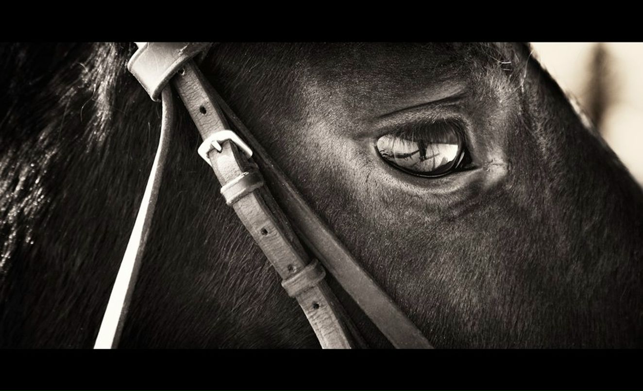 Светлана Ленёва | Курган