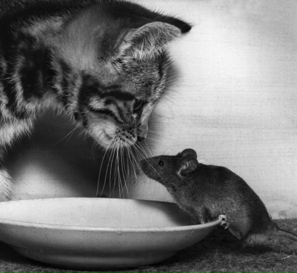 №16, Павел Калашников, 35 лет, Симферополь №16, Павел Калашников, 35 лет, Симферополь