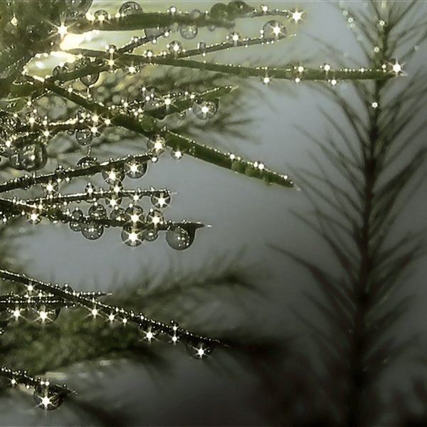 Мария Немирова | Санкт-Петербург