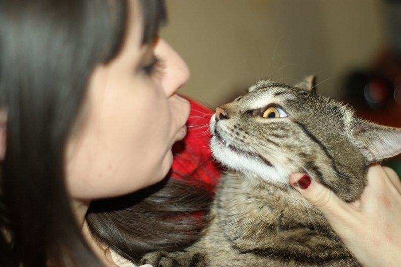 Олег Рубцов | Воронеж