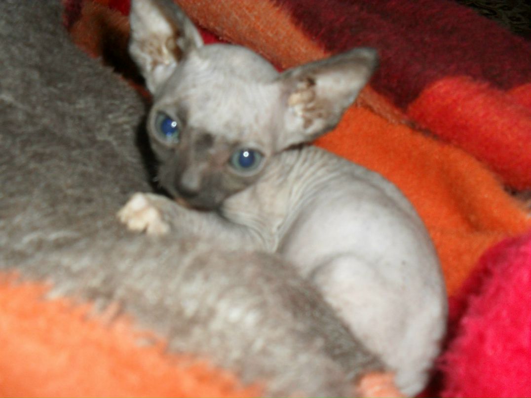 Кристина Сяба | Рязань