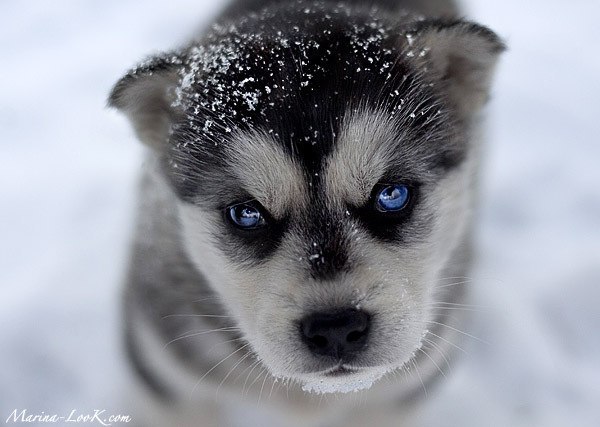 Лиля Дистанова | Казань