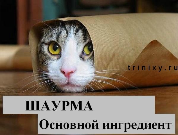 №8, Алексей Сироткин, 28 лет, Санкт-Петербург №8, Алексей Сироткин, 28 лет, Санкт-Петербург