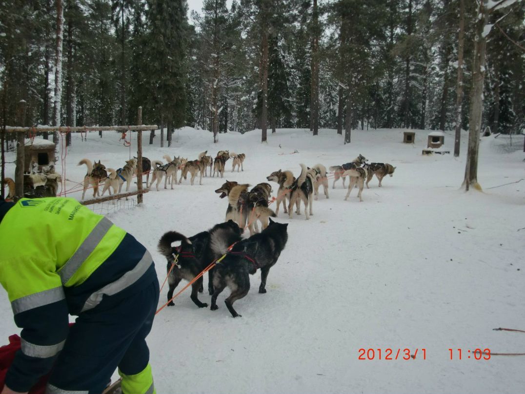 Дмитрий Перекупко | Лубны