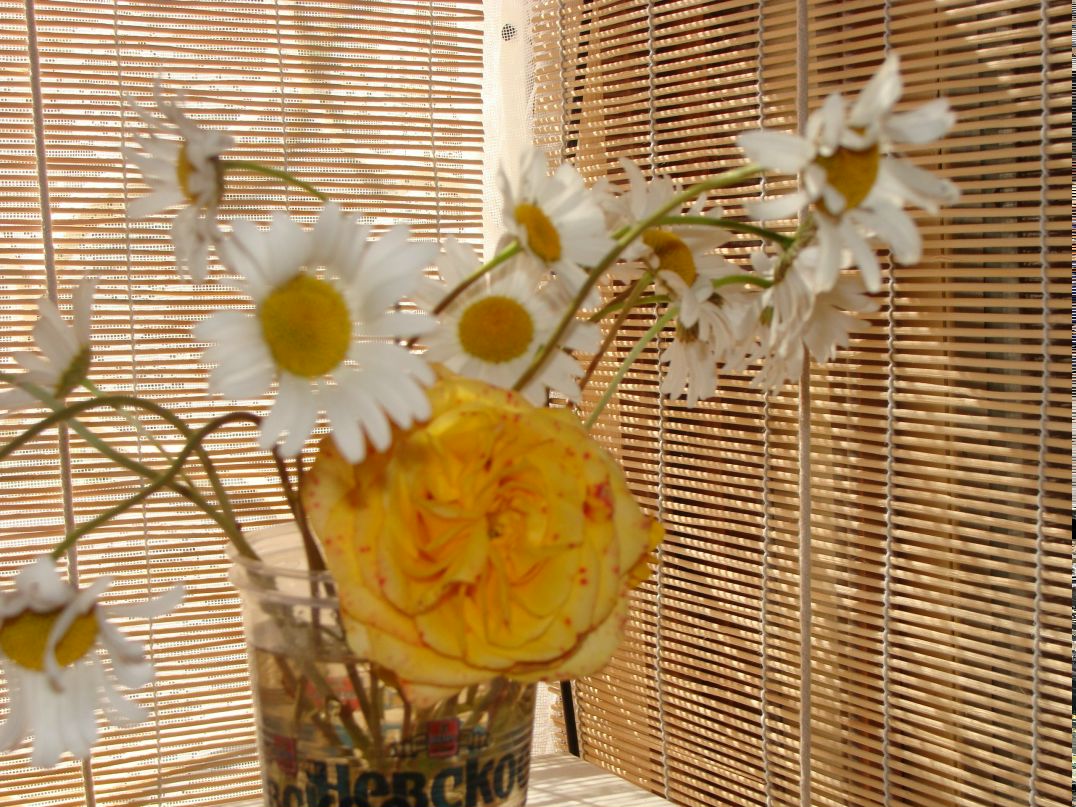 Ирина Караушева | Петрозаводск