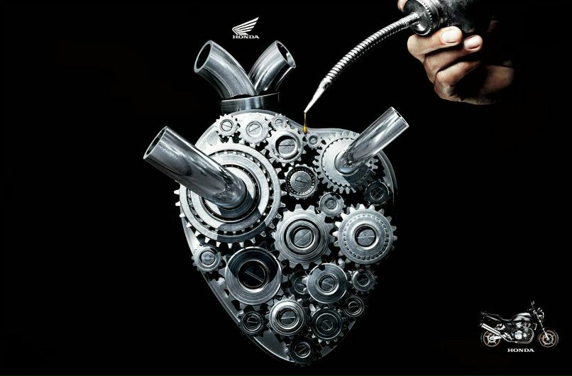 Николай Алисоветий колючий | Москва