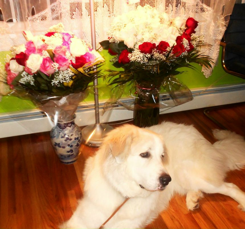 Галина Панасюк-Лукасевич | 