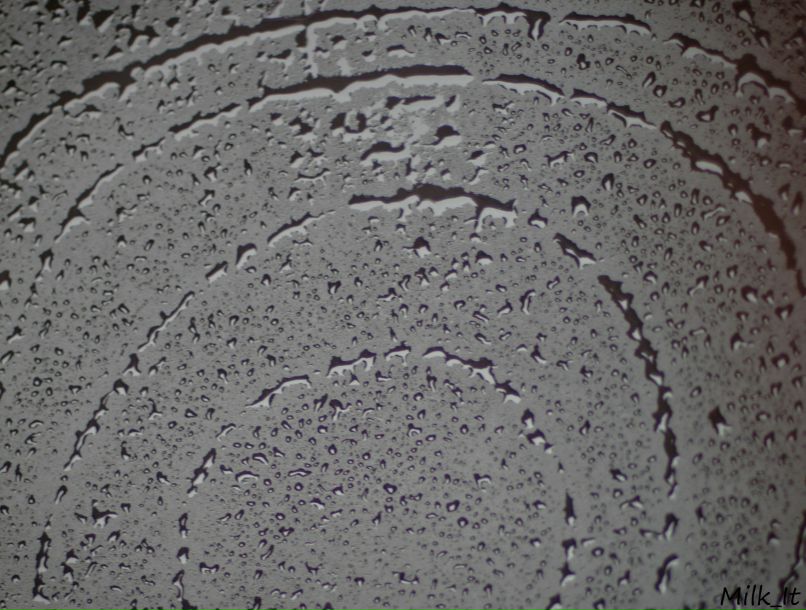 Milk It | Москва