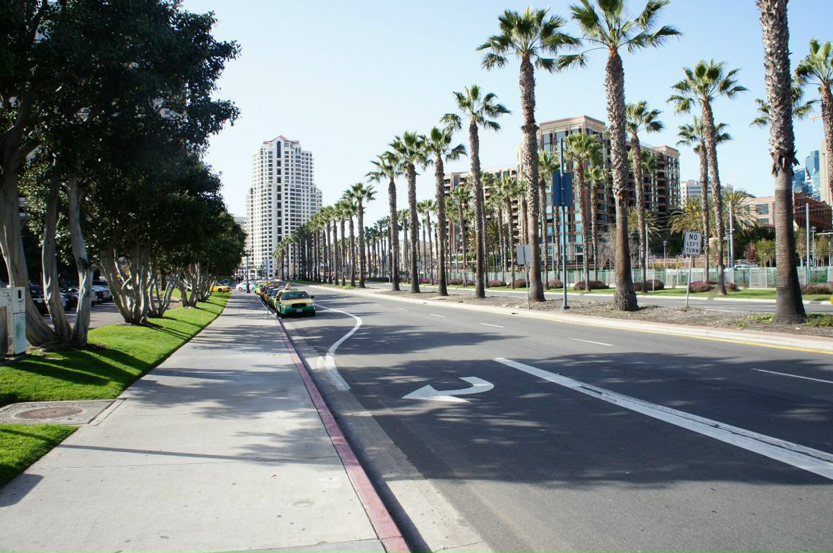 Александр Бенке | Lausanne