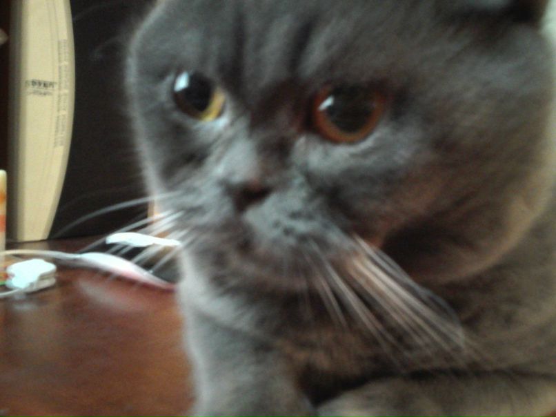 Ира Ибрагимова | Харьков