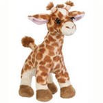 Светлана Терёшкина | Санкт-Петербург