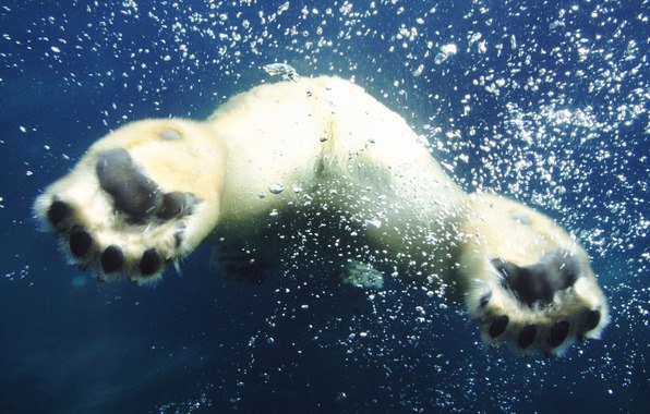 Александра Варедимиди | Москва