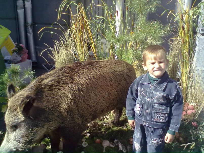 Антонина Евдокимова Михайловна | Курск