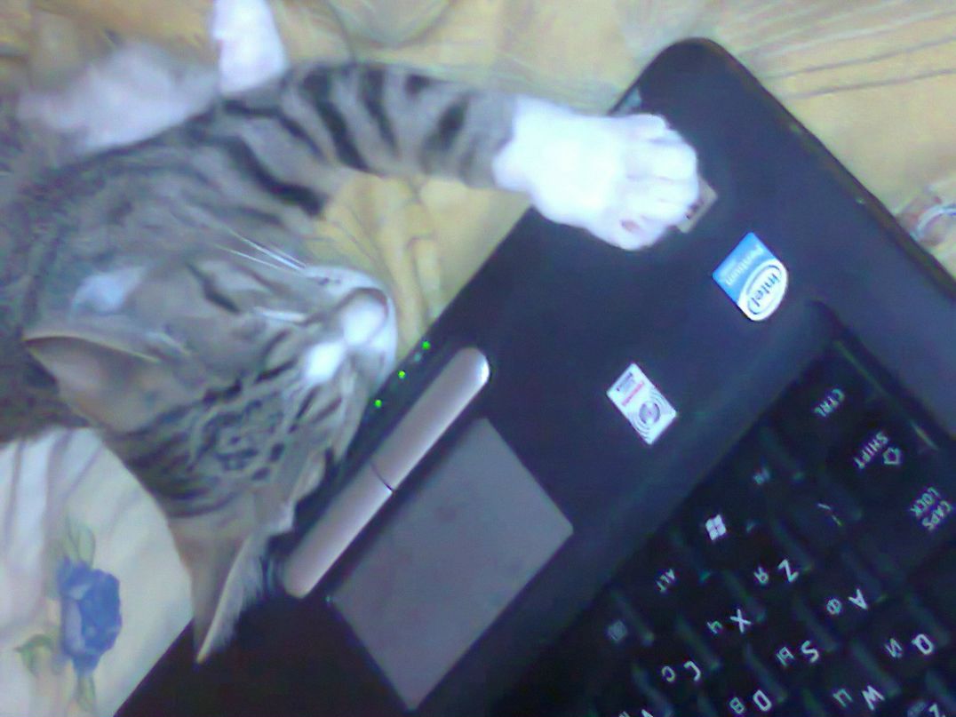 Юлия Кулешова | Санкт-Петербург