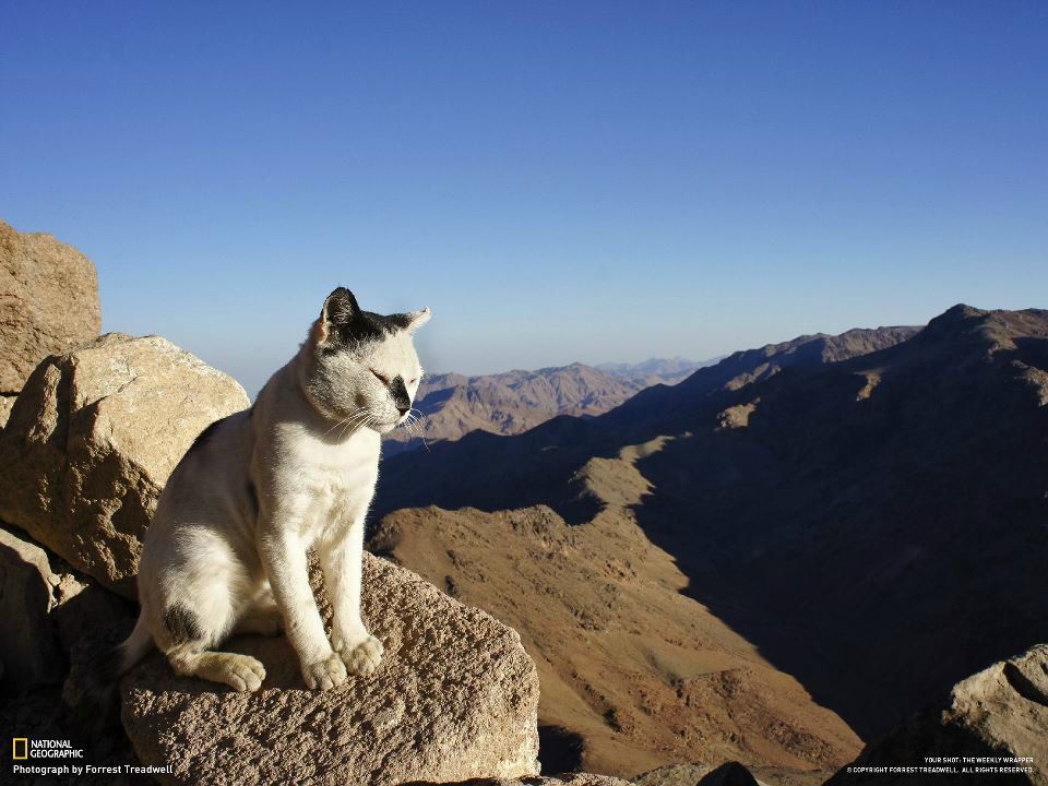 Юля Маляревская | 