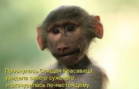 Елена Иванова-Ёрж | Херсон