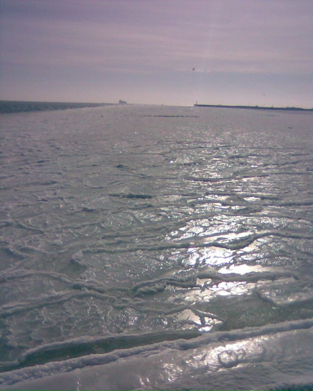 Анастасия Донская | Киев