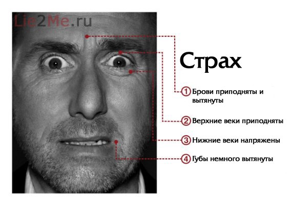 Сергей Archlinux | Ottawa