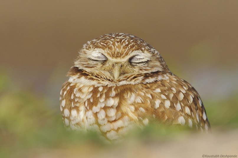 Илья Прудников | Москва