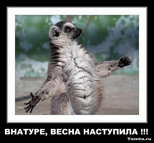 Наиль Курманаев | Северодвинск