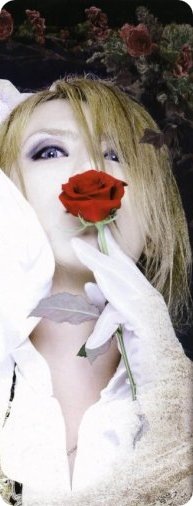 №22, Yuuji Kamijo, Yokohama №22, Yuuji Kamijo, Yokohama