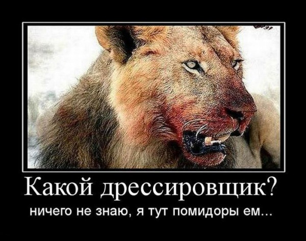 №26, Владимир Рудой, Port-au-Prince №26, Владимир Рудой, Port-au-Prince