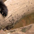 №45, Алина Деревянко, Харьков №45, Алина Деревянко, Харьков