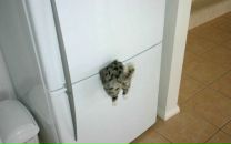 №39 Катя Катина : профиль, фото, статус - ВКонтакте