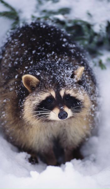 №189, Оля Баженова, 37 лет, Ижевск №189, Оля Баженова, 37 лет, Ижевск